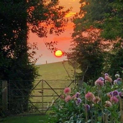 欧意app下载截图